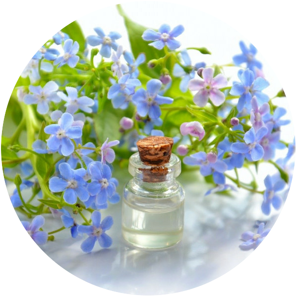 what are essential oils