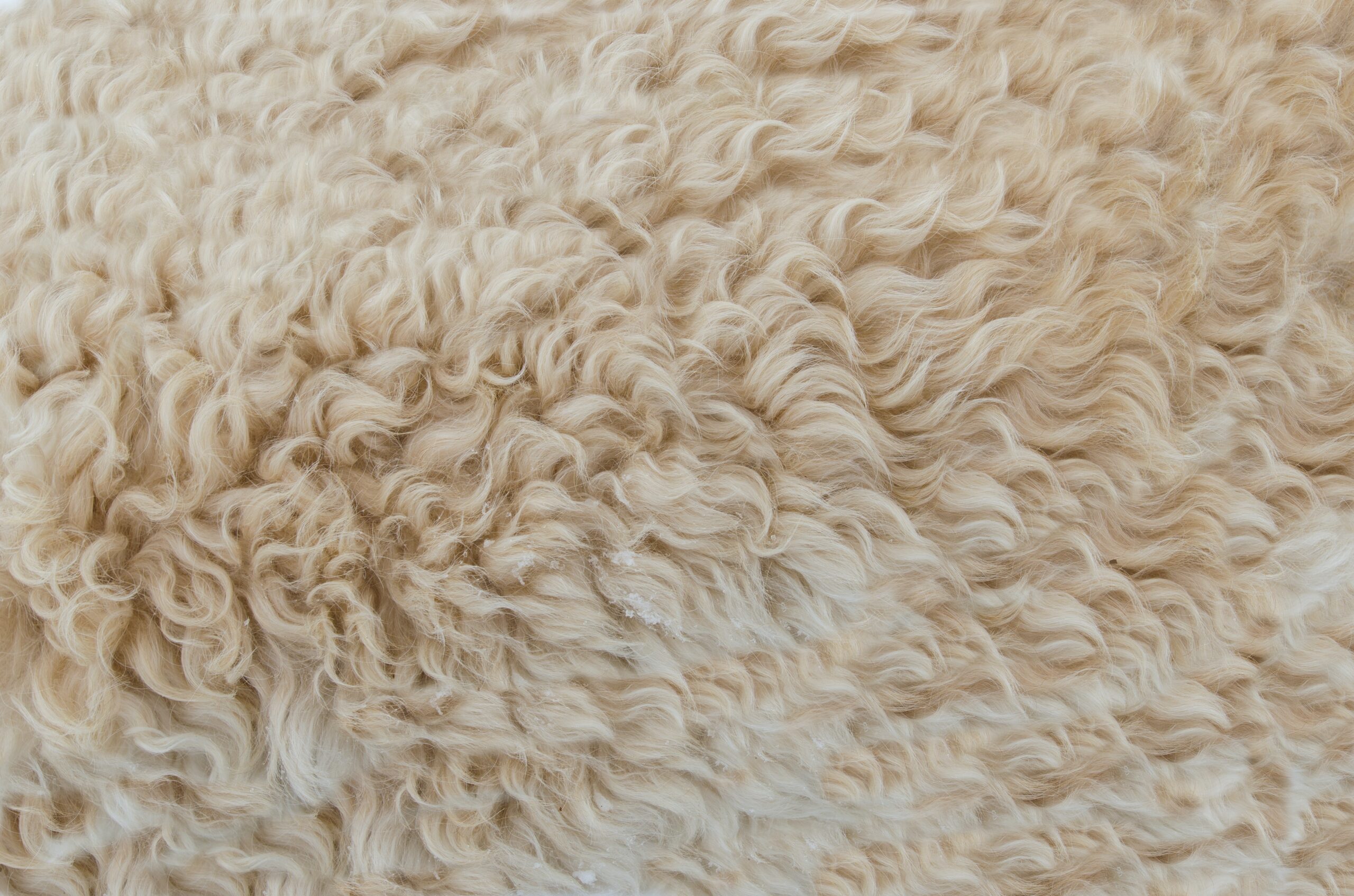 organic wool baby blanket