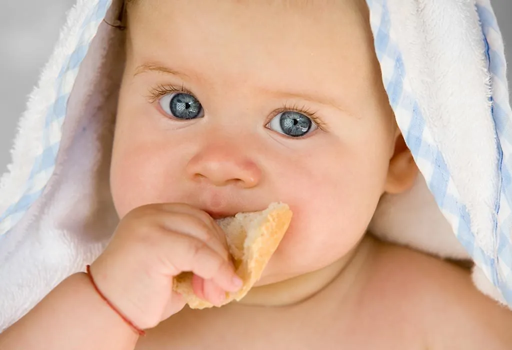 Can a Baby Eat Bread Without Teeth?
